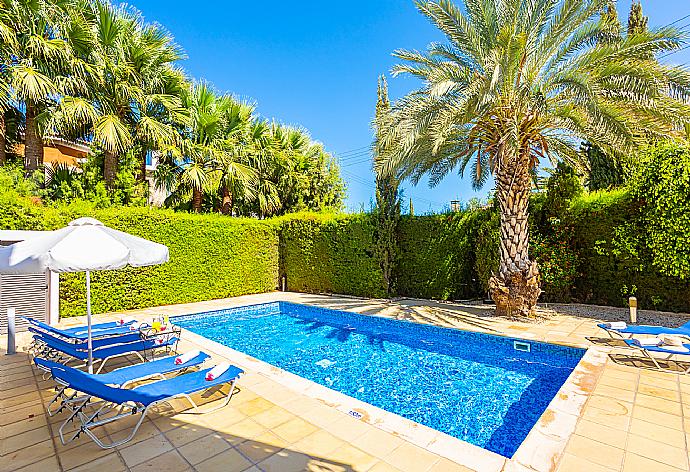 Private pool, terrace, and garden . - Villa Anna . (Galerie de photos) }}