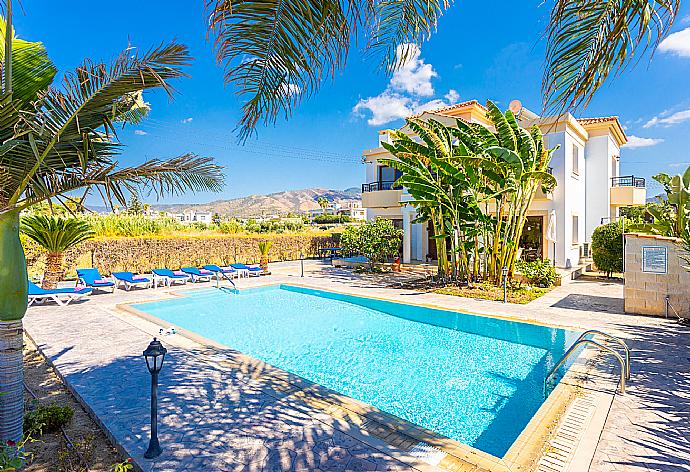 Beautiful villa with private pool and terrace . - Villa Dora . (Галерея фотографий) }}
