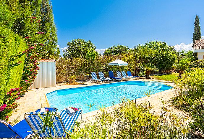 Private pool, terrace, and garden . - Villa Iliana . (Galería de imágenes) }}