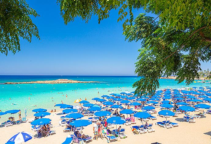 Fig Tree Beach, Protaras . - Villa Marina . (Galleria fotografica) }}