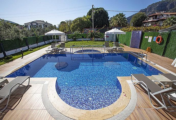 Villa Delfin Pool