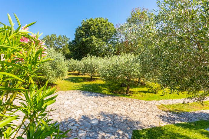 Private parking area  . - Villa Di Vino . (Photo Gallery) }}