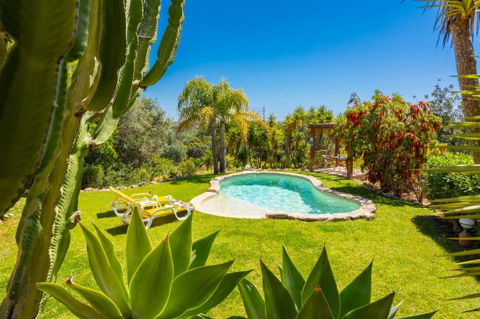 Private pool, terrace, and garden . - Villa Irene . (Photo Gallery) }}
