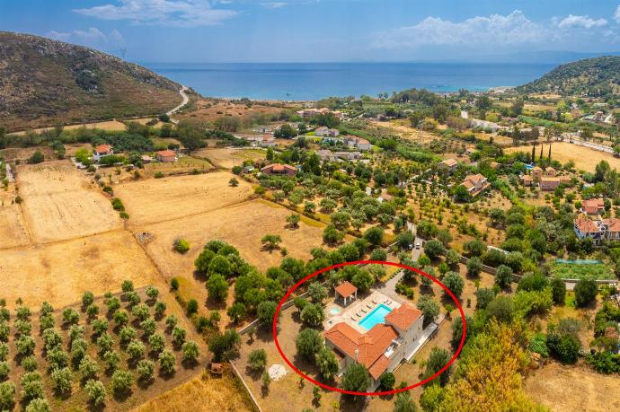 Villa Pomegranate Tree