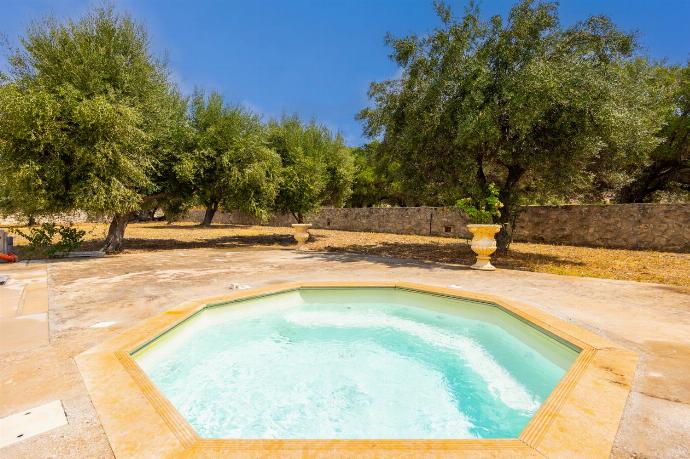 Villa Pomegranate Tree