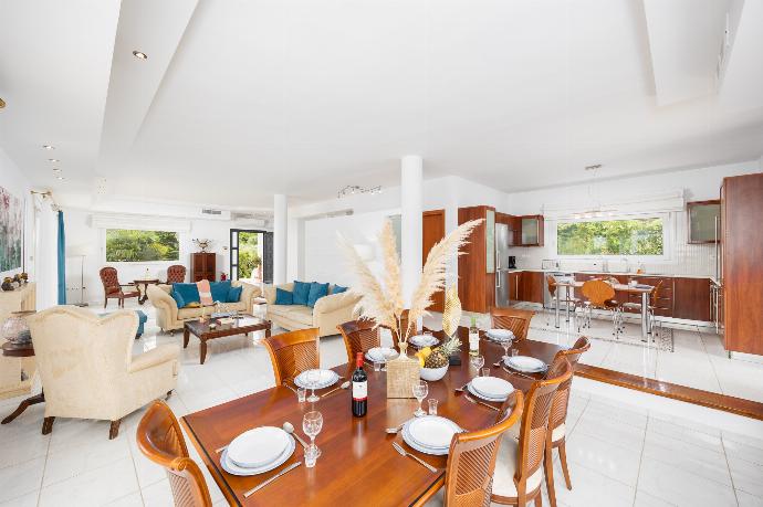 Open-plan living room on first floor with sofas, dining area, kitchen, ornamental fireplace, A/C, and WiFi internet . - Villa Noulia . (Photo Gallery) }}