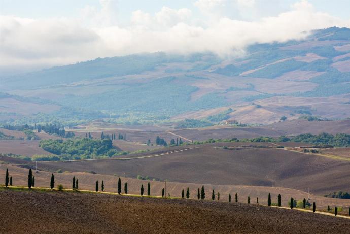 . - Casale del Conte . (Galería de imágenes) }}