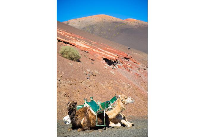 Lanzarote . - Villa Temuime . (Photo Gallery) }}