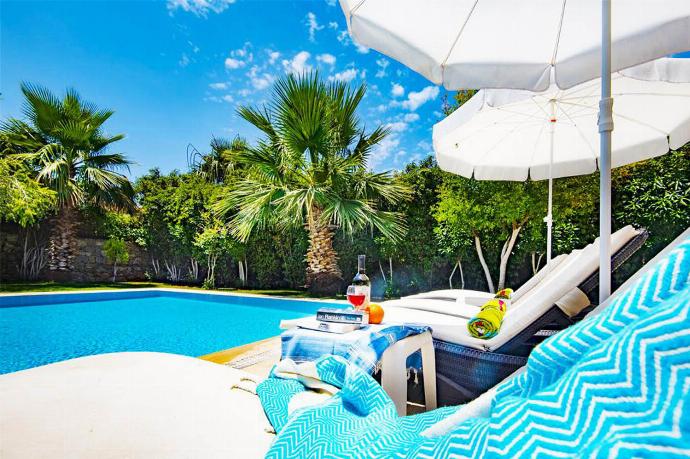  . - Villa Tara . (Photo Gallery) }}