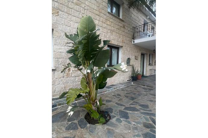  . - Villa Aloni . (Photo Gallery) }}