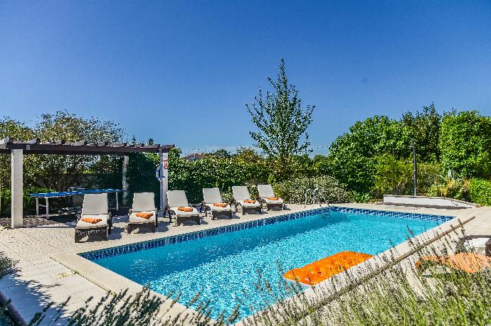 Villa Olive Tree