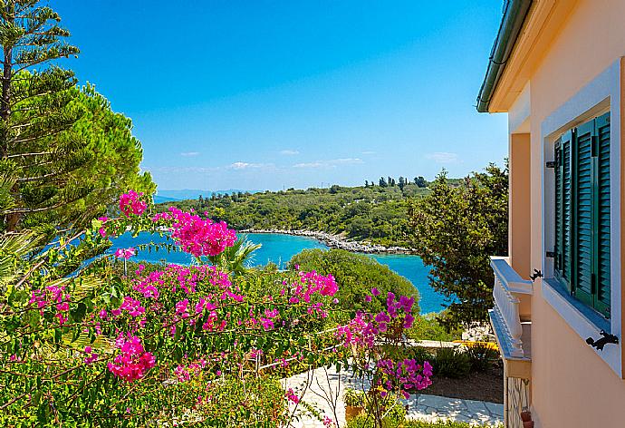 Terrace area . - Dolphin House . (Fotogalerie) }}