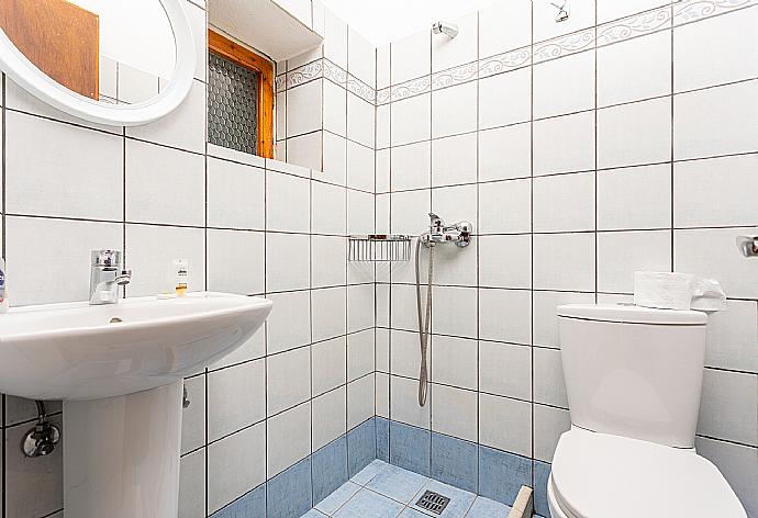 Bathroom with shower . - Dolphin Studio . (Галерея фотографий) }}