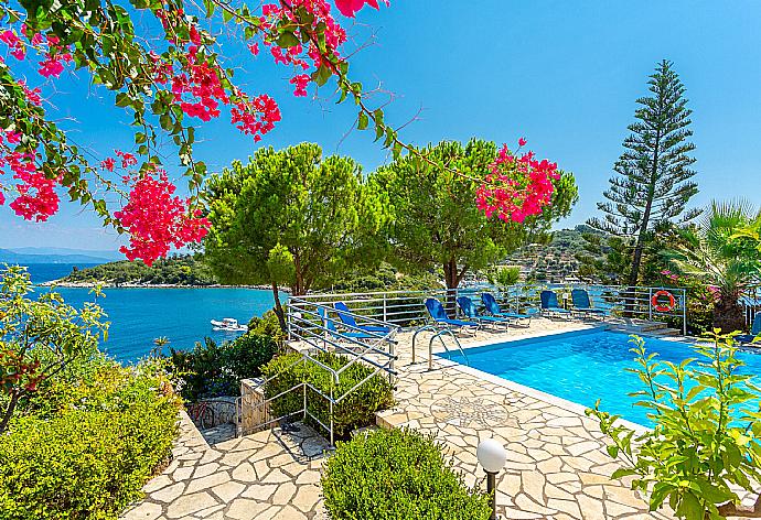 ,Shared pool and terrace with panoramic sea views . - Dolphin Villa 1 . (Photo Gallery) }}