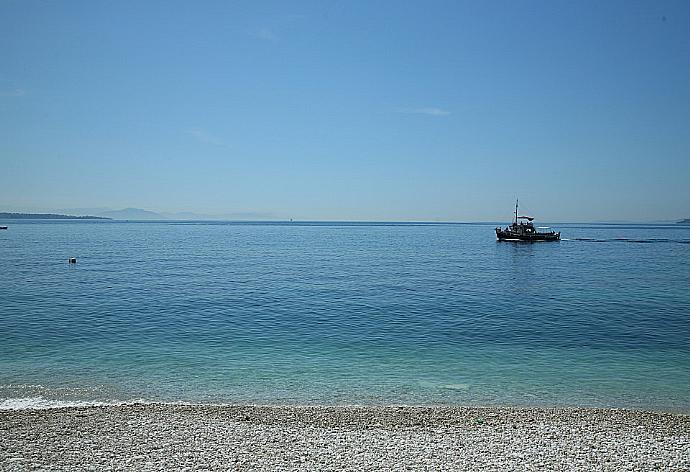 Local Beach . - Stella . (Photo Gallery) }}