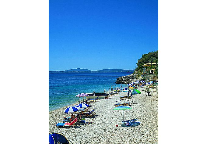 Local Beach . - Stella . (Photo Gallery) }}
