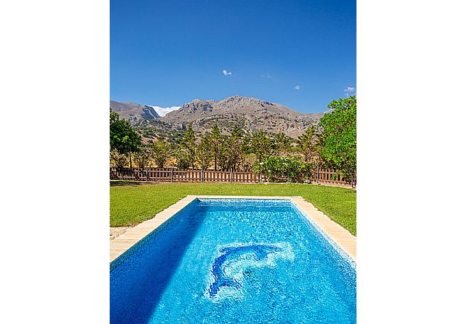 Private pool and lawn . - Spiros Beach Villa . (Galerie de photos) }}