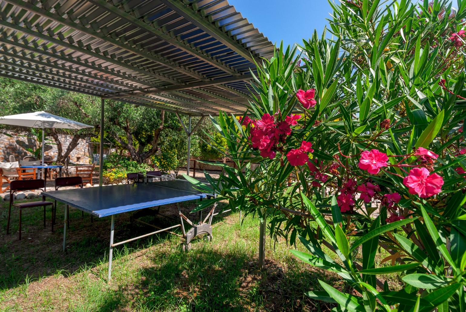 Table tennis in shared garden area of Eleon Villas