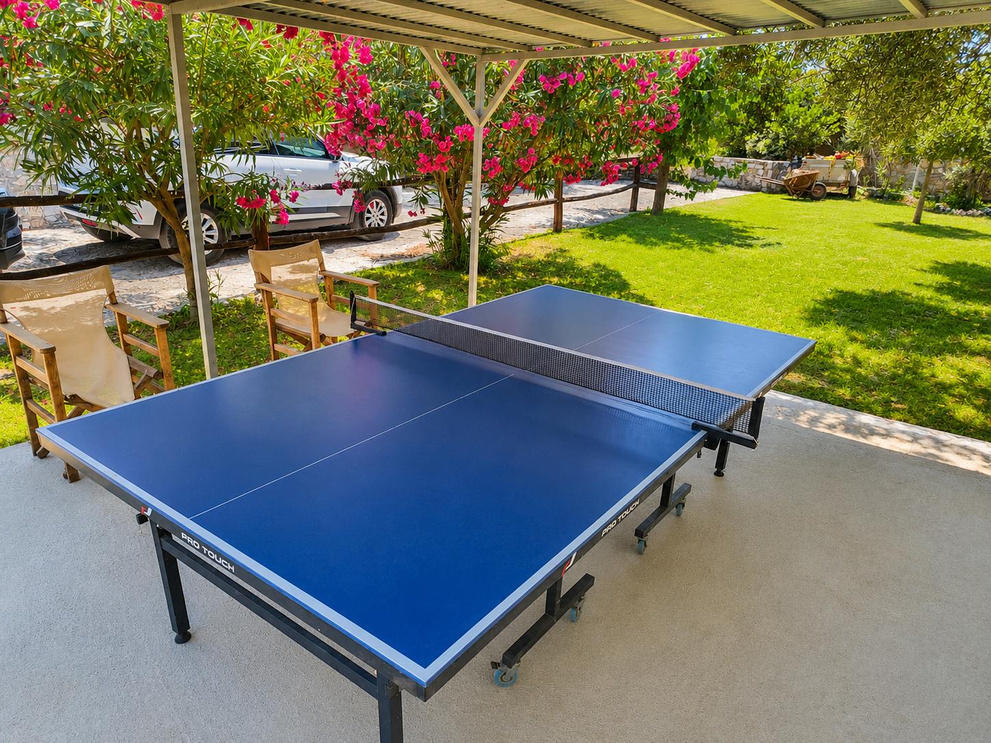 Shaded outdoor recreation area with a ping pong table, garden seating, and lush greenery.