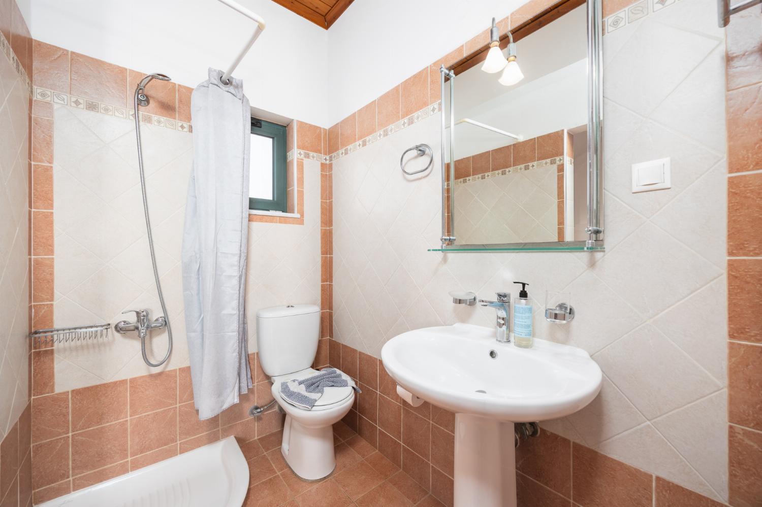 Upper unit: family bathroom with shower