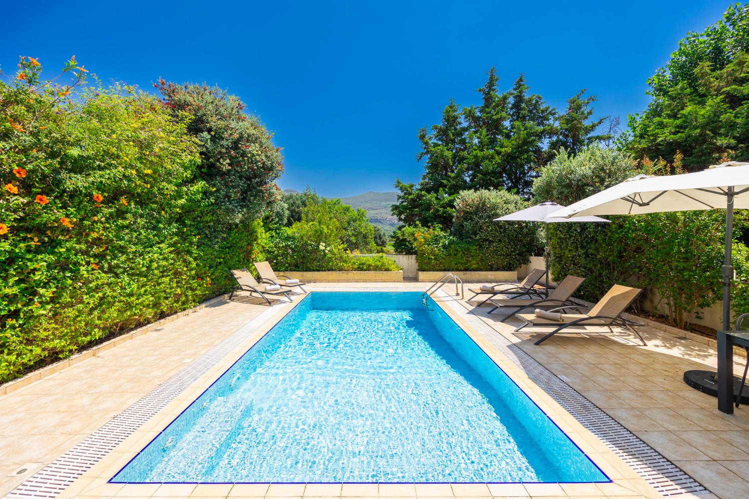 Private pool and terrace