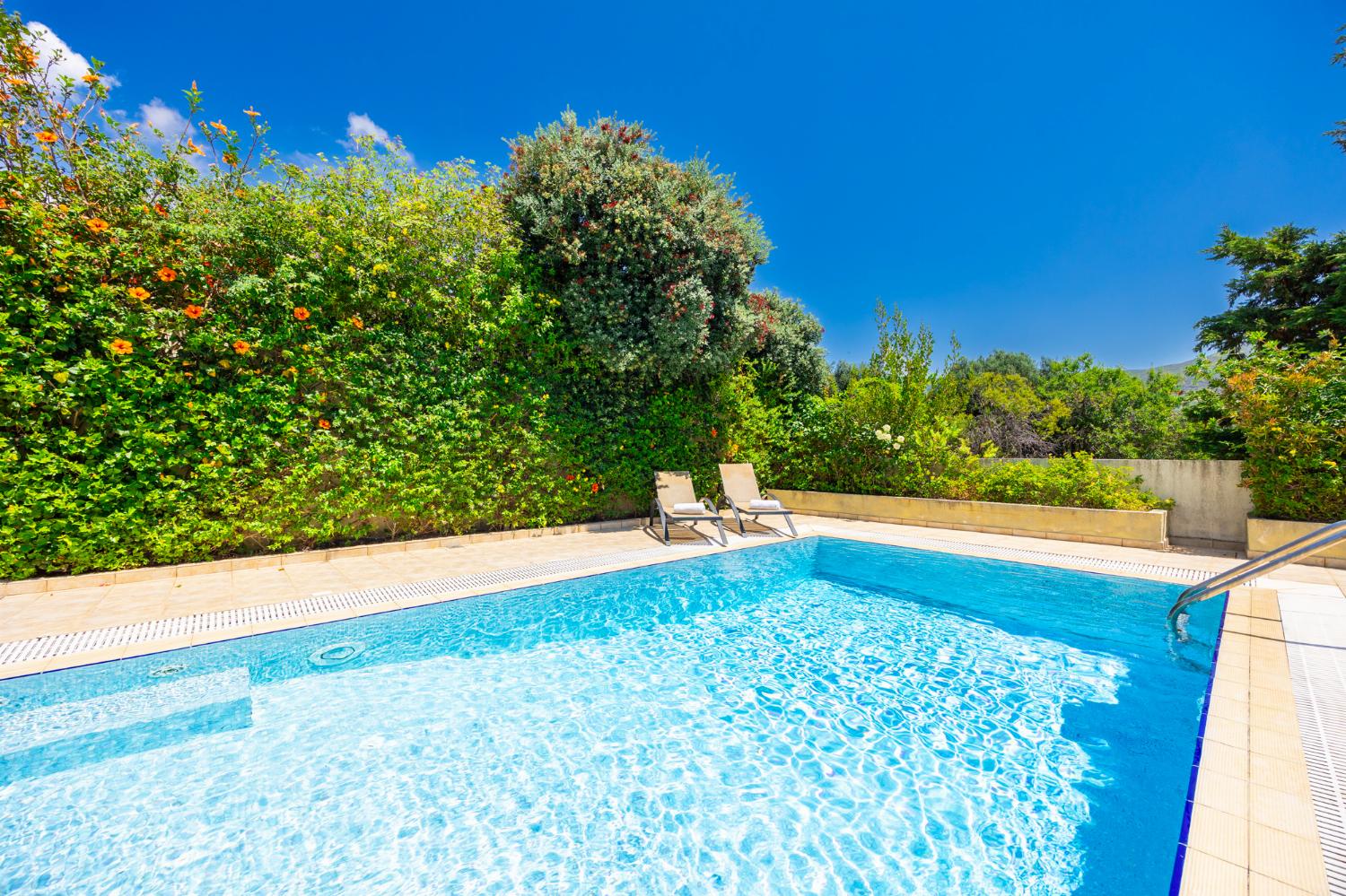 Private pool and terrace