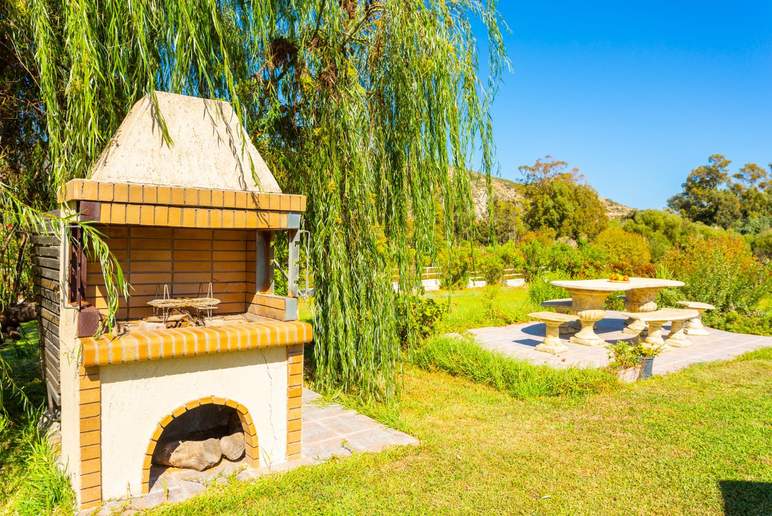 Garden area with BBQ