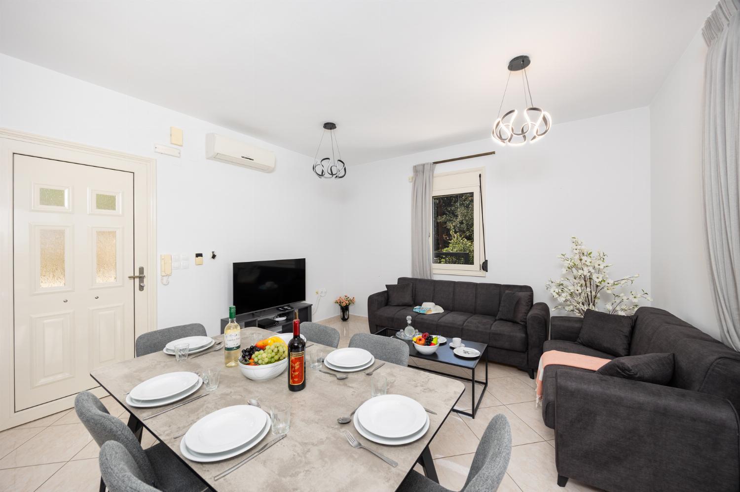 Open-plan living room with sofas, dining area, kitchen, A/C, WiFi internet, and satellite TV