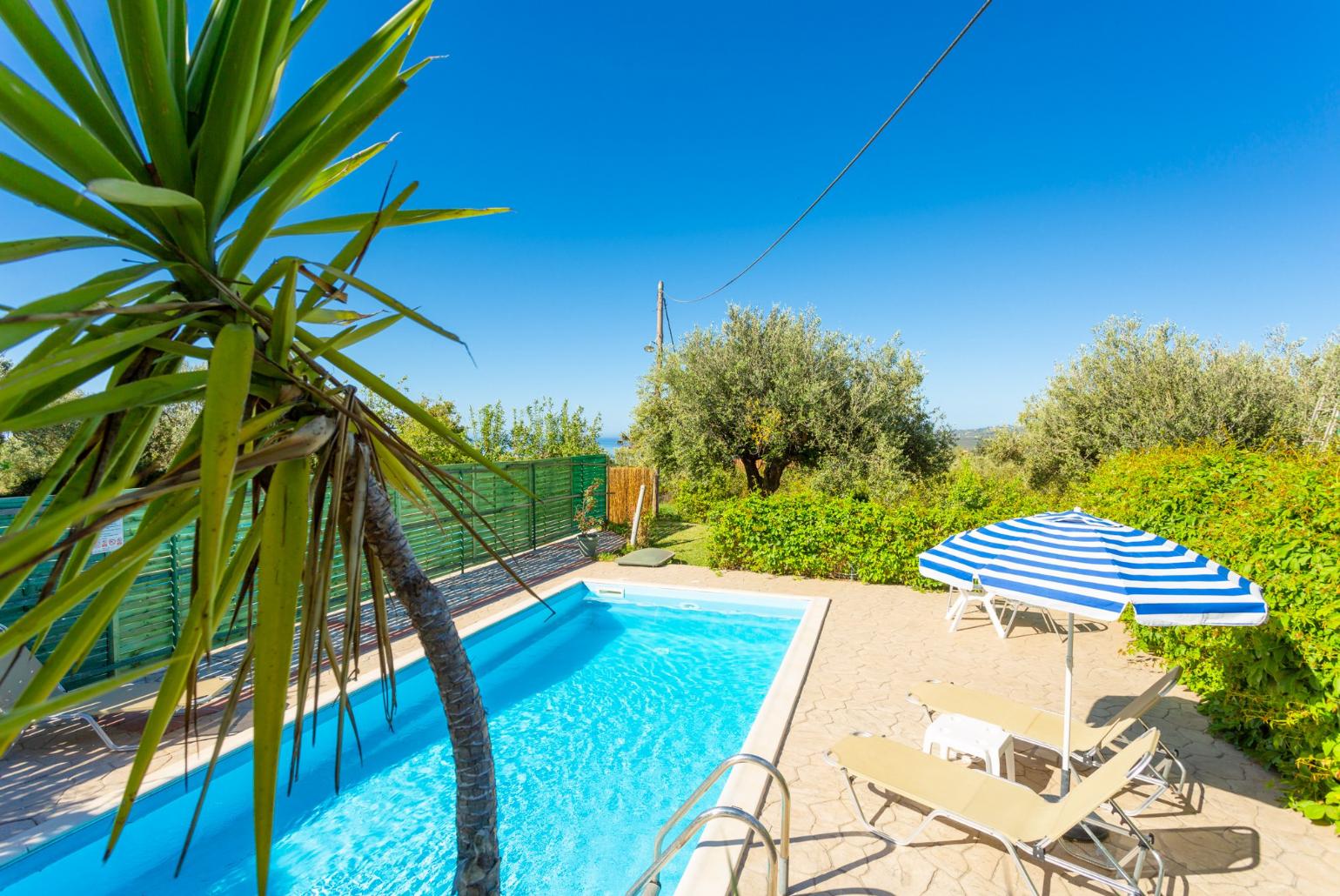 Private pool and terrace