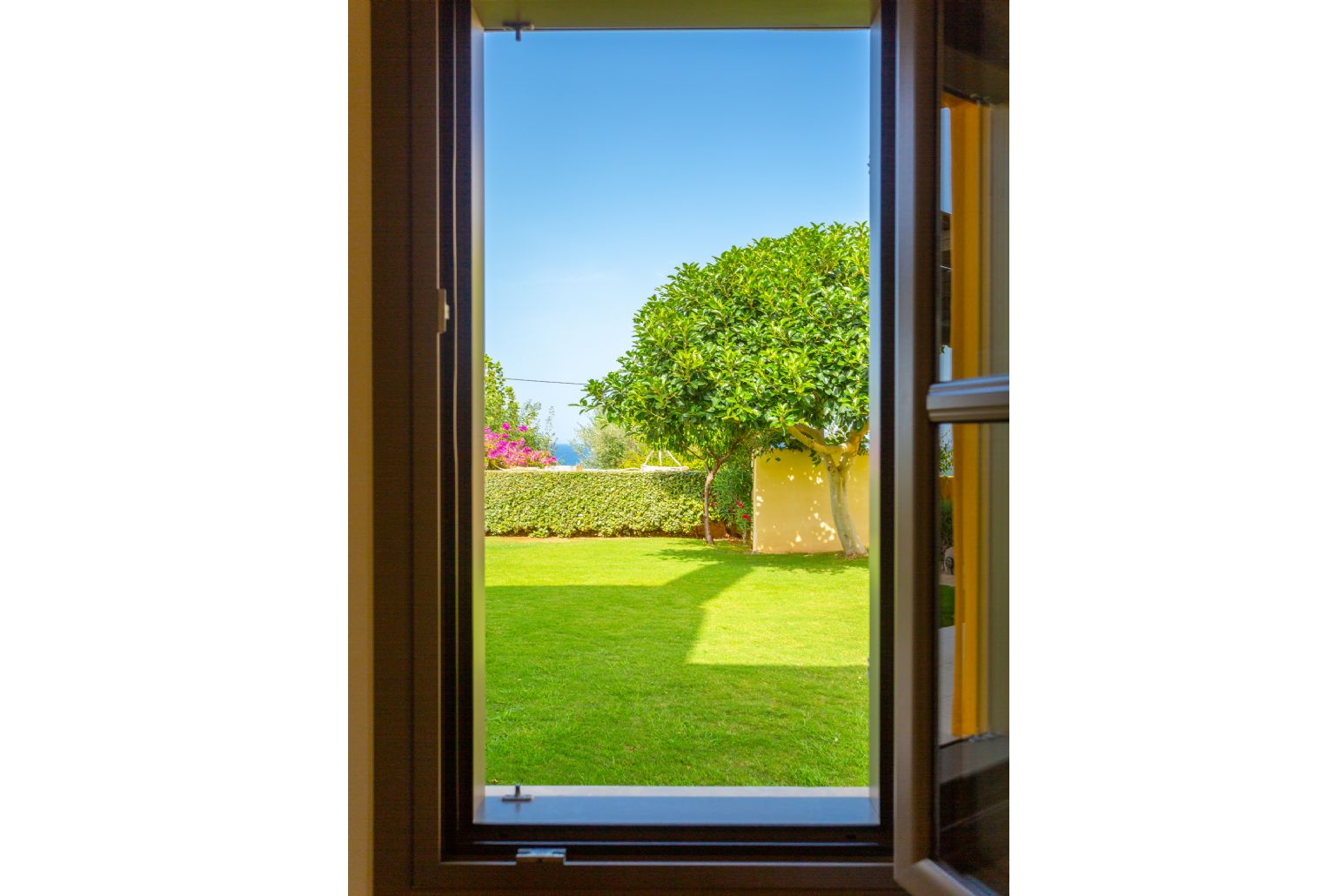 View of garden from bedroom window