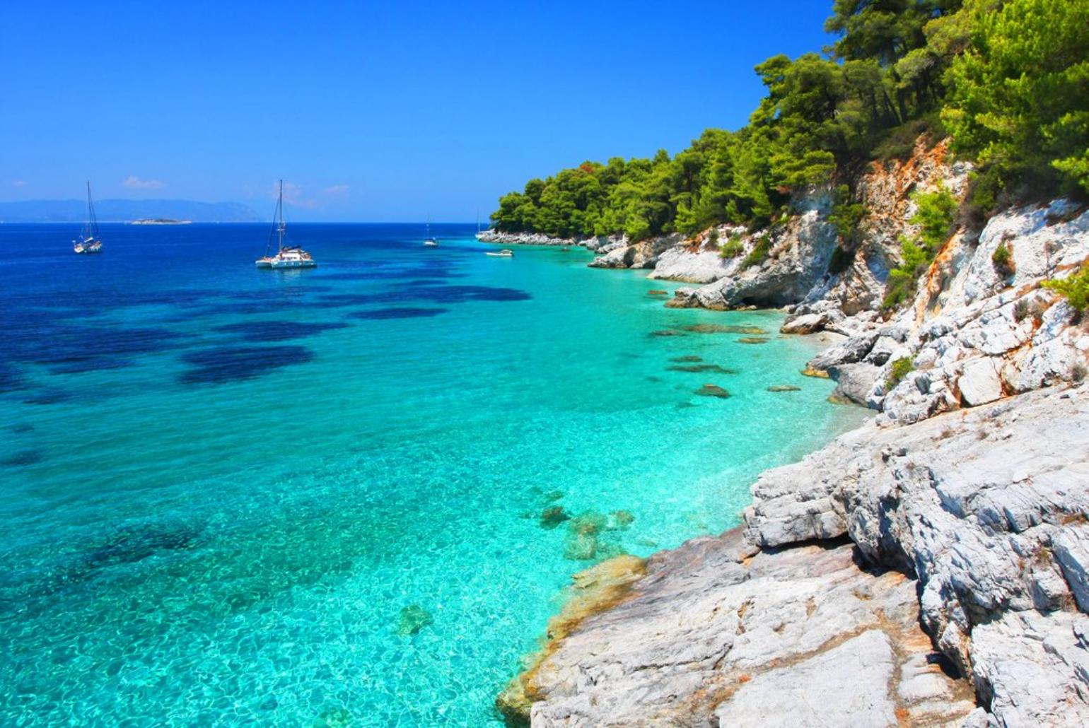 Local Bay