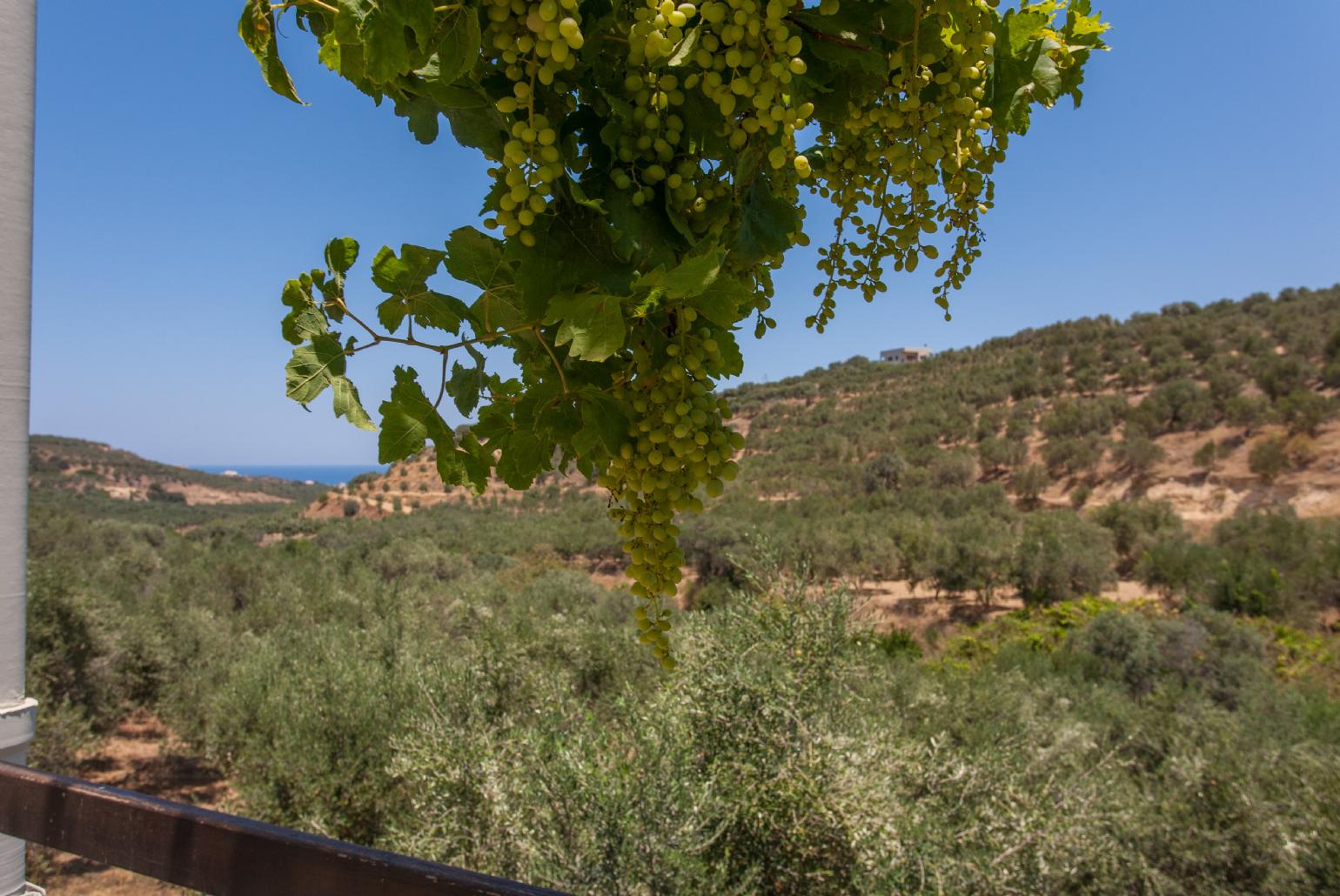 Balcony with views