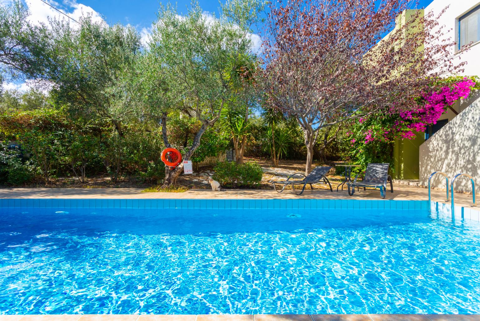 Private pool and terrace