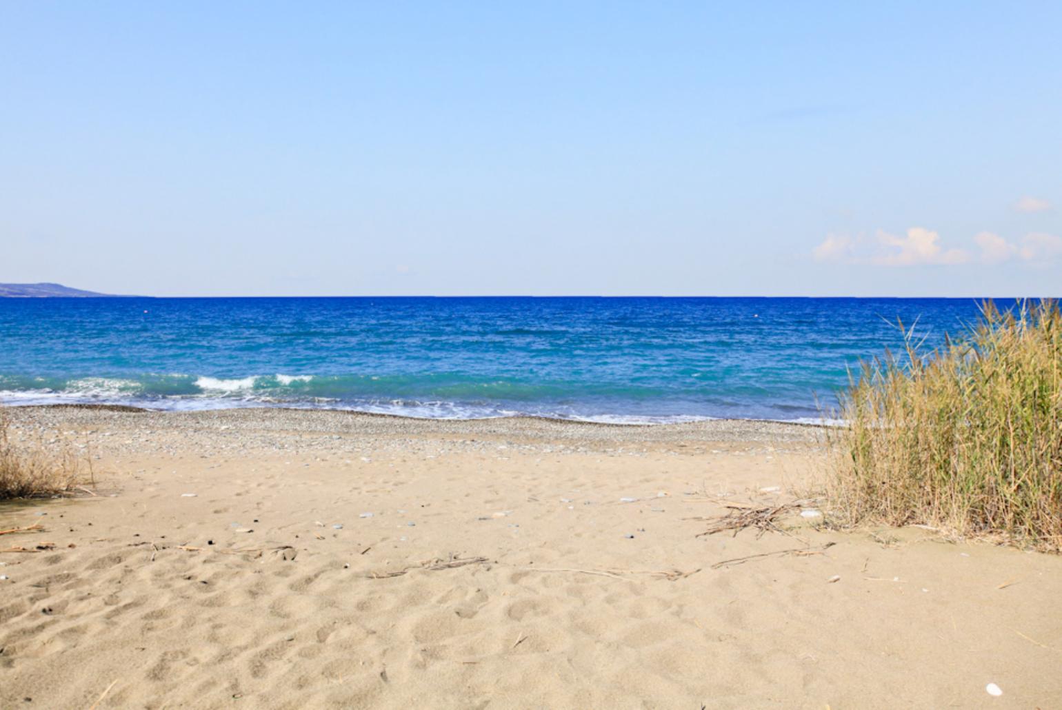 Local Beach