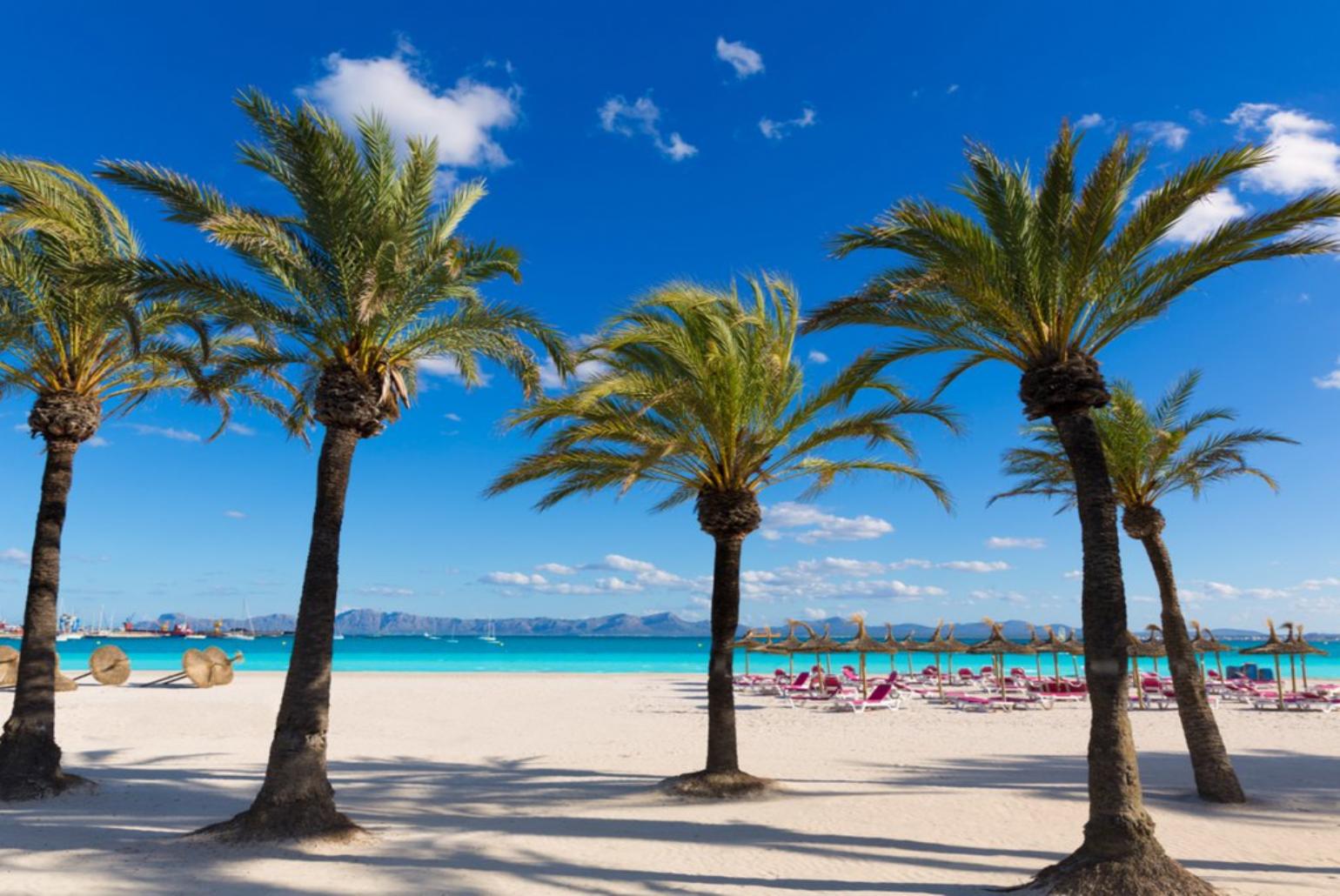 Platja de Alcudia