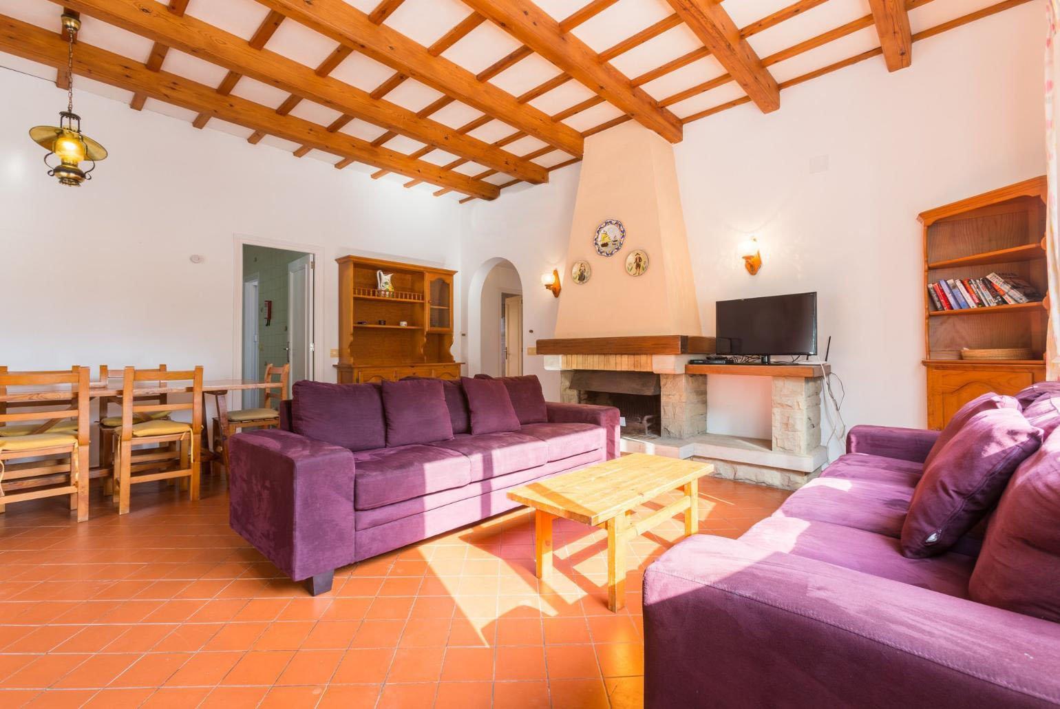 Living room with sofas, WiFi Internet, DVD player and ornamental fire place.