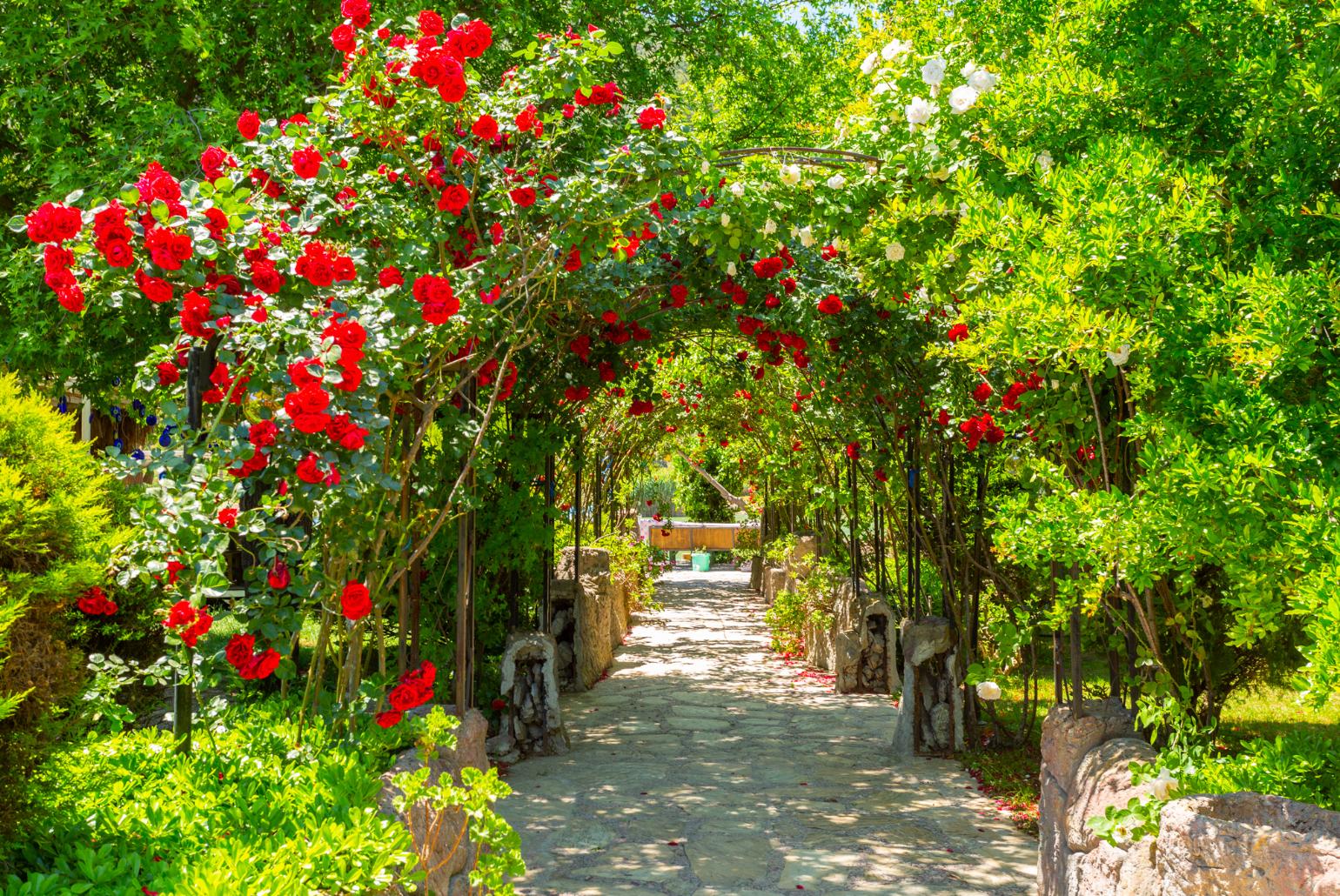Walkway to river at Paradise Club