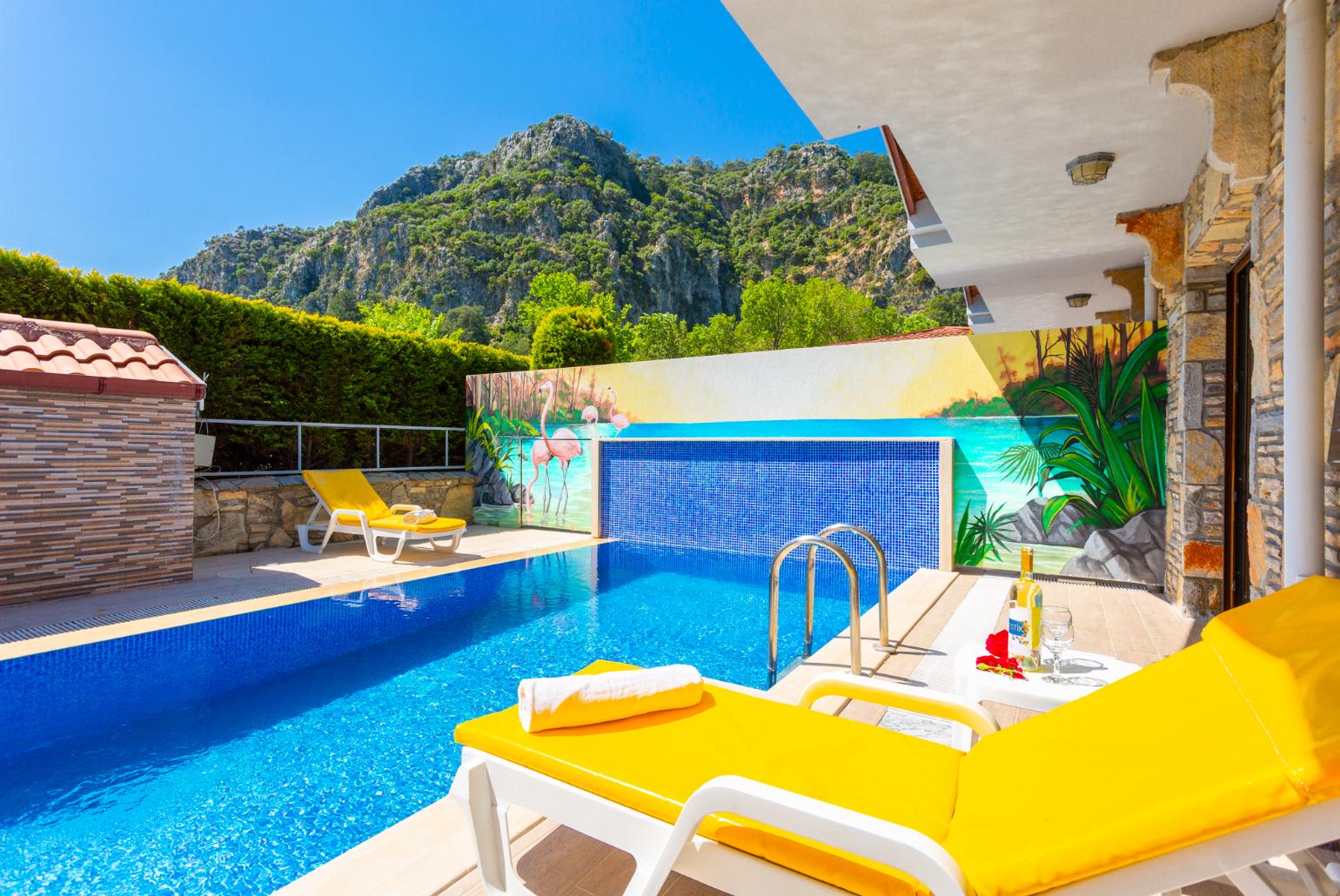 Private pool and terrace with views