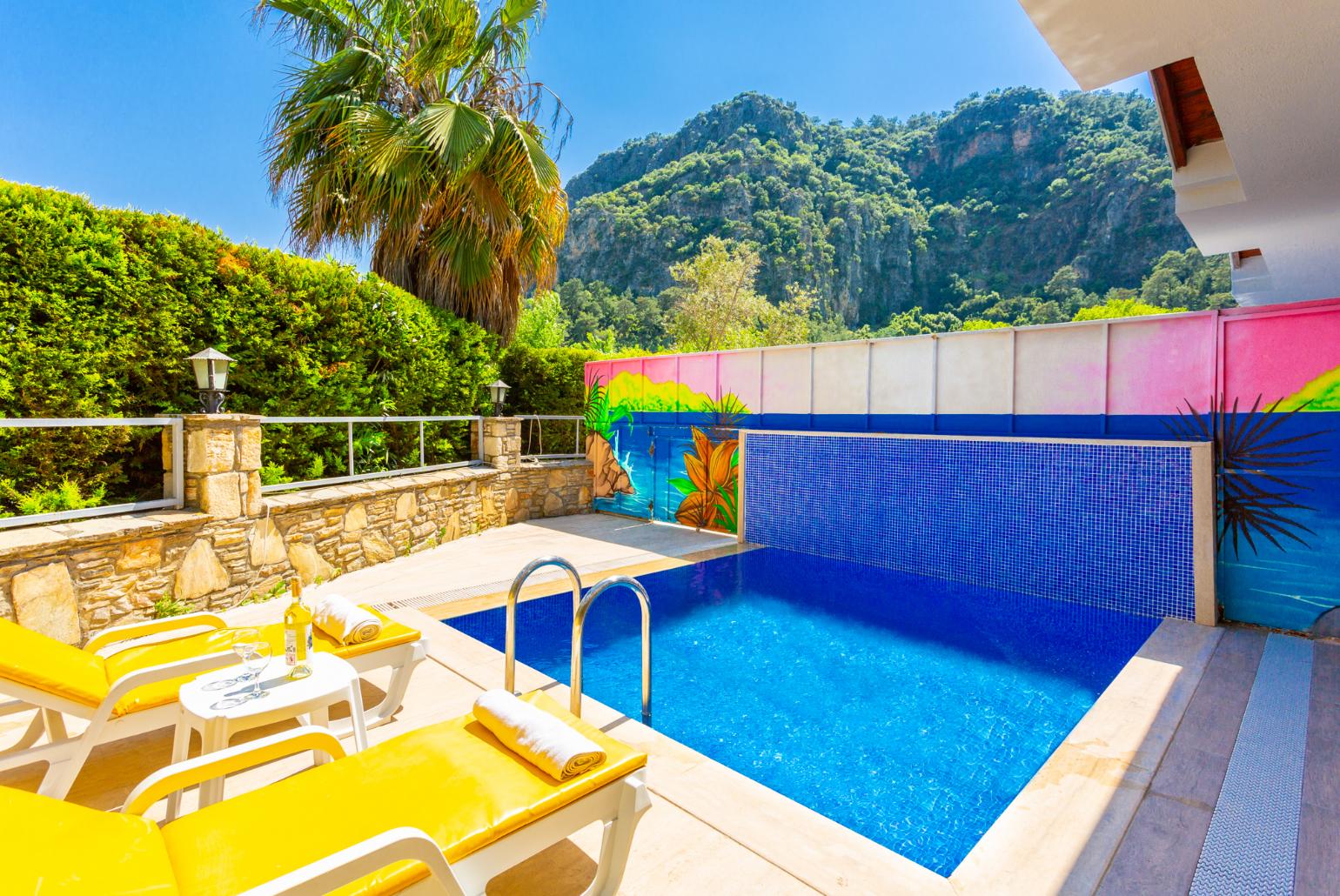 Private pool and terrace with views