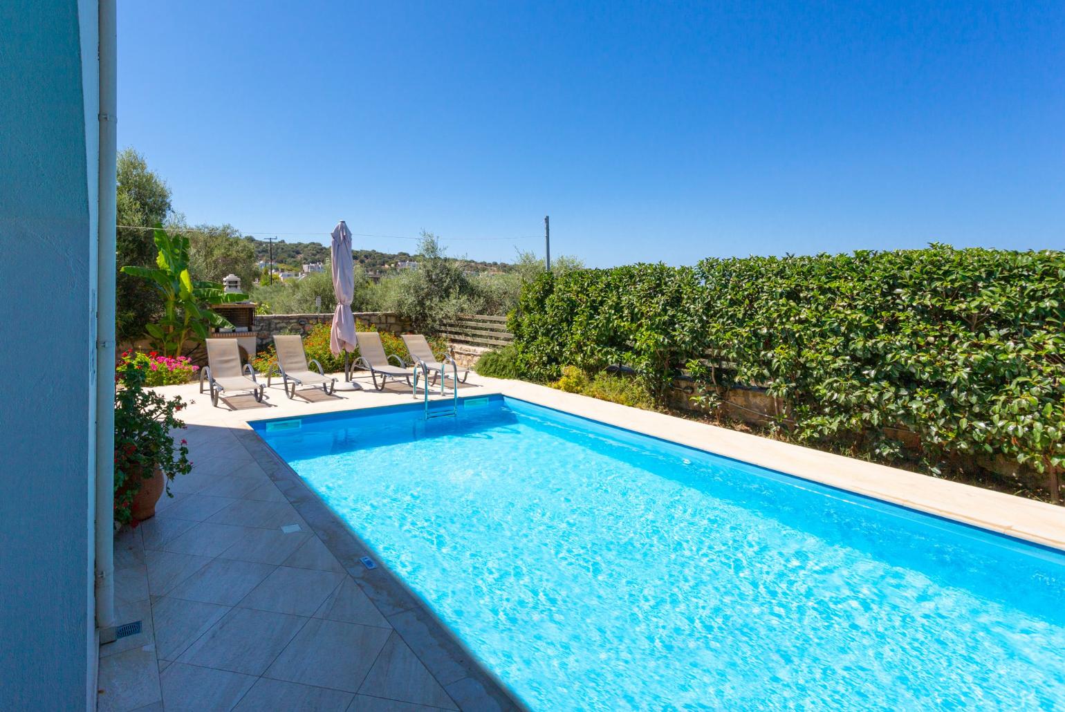 Private pool and terrace