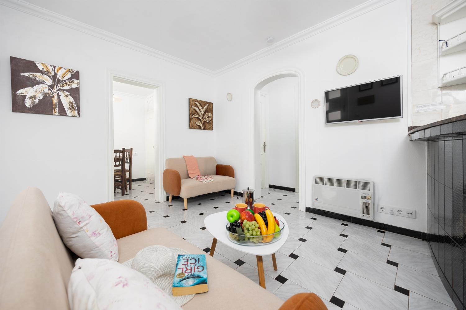 Open-plan living room with sofas, kitchen, WiFi internet, and satellite TV