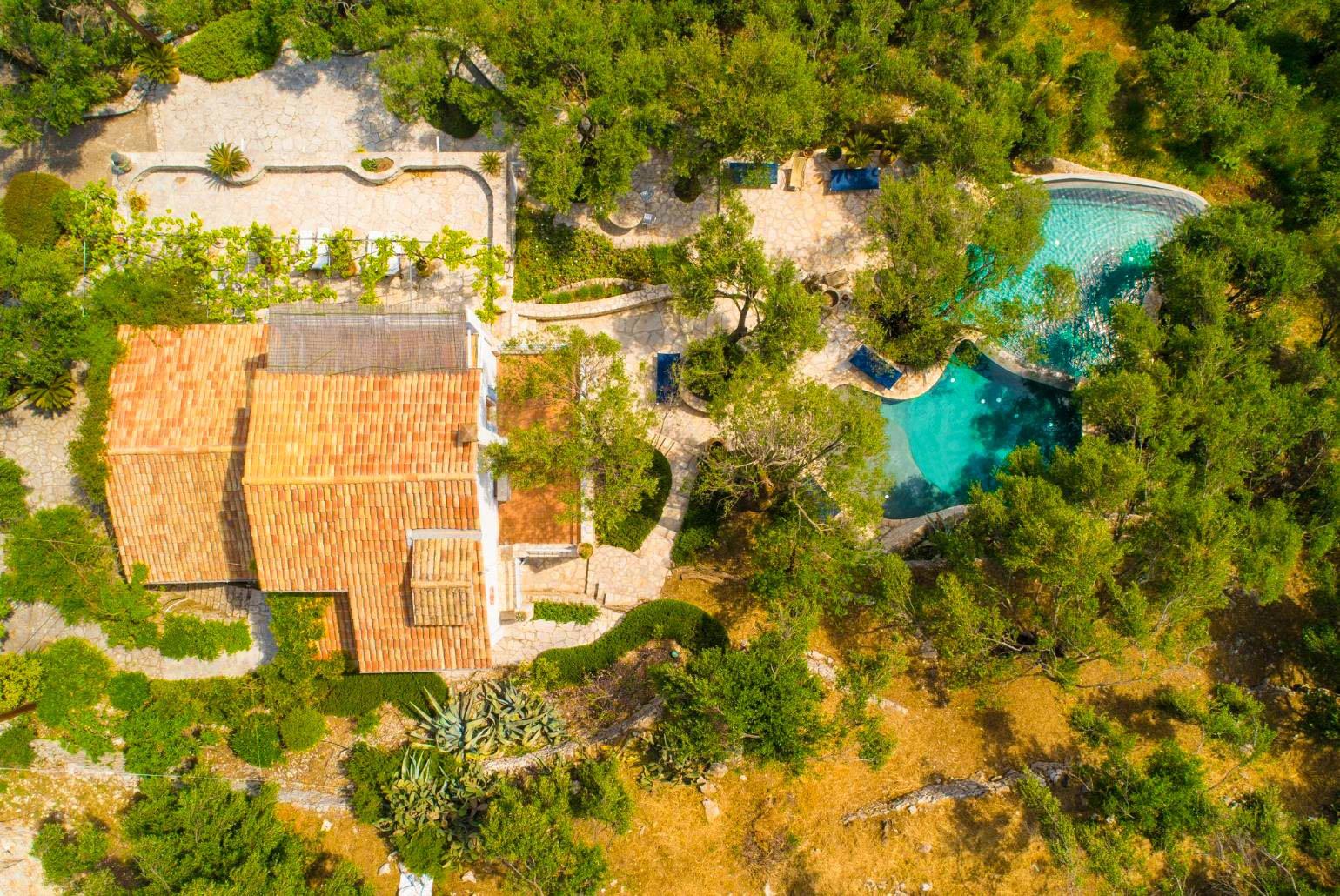 Aerial shot of the Olive Press