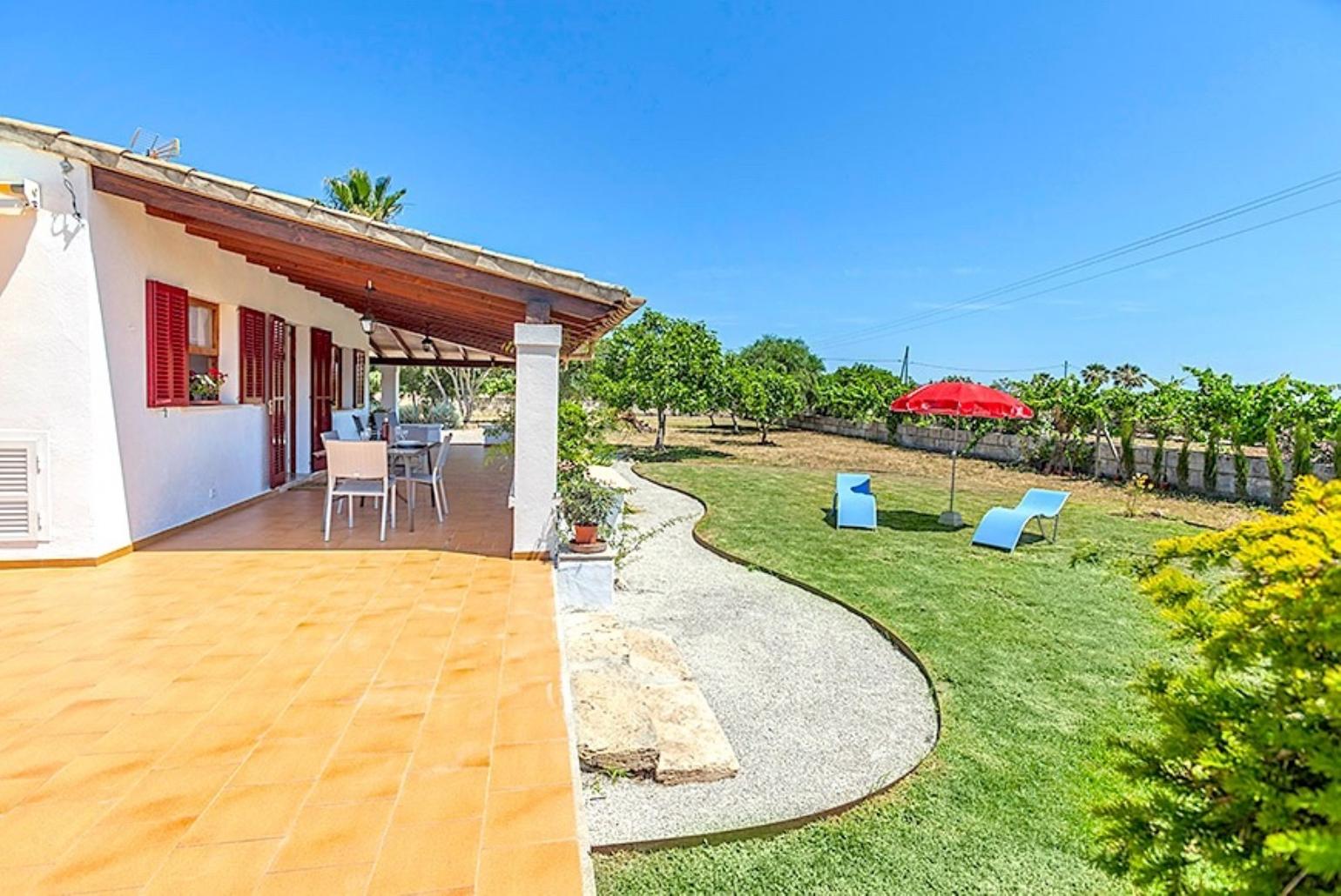 Terrace and garden area