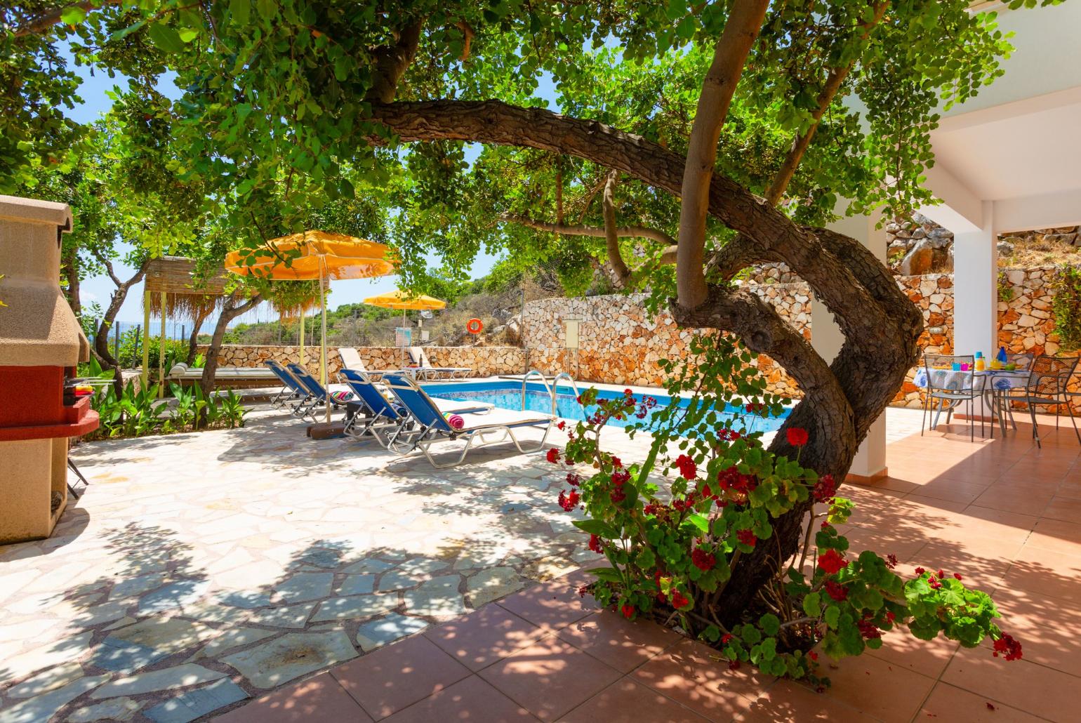 Private pool and terrace