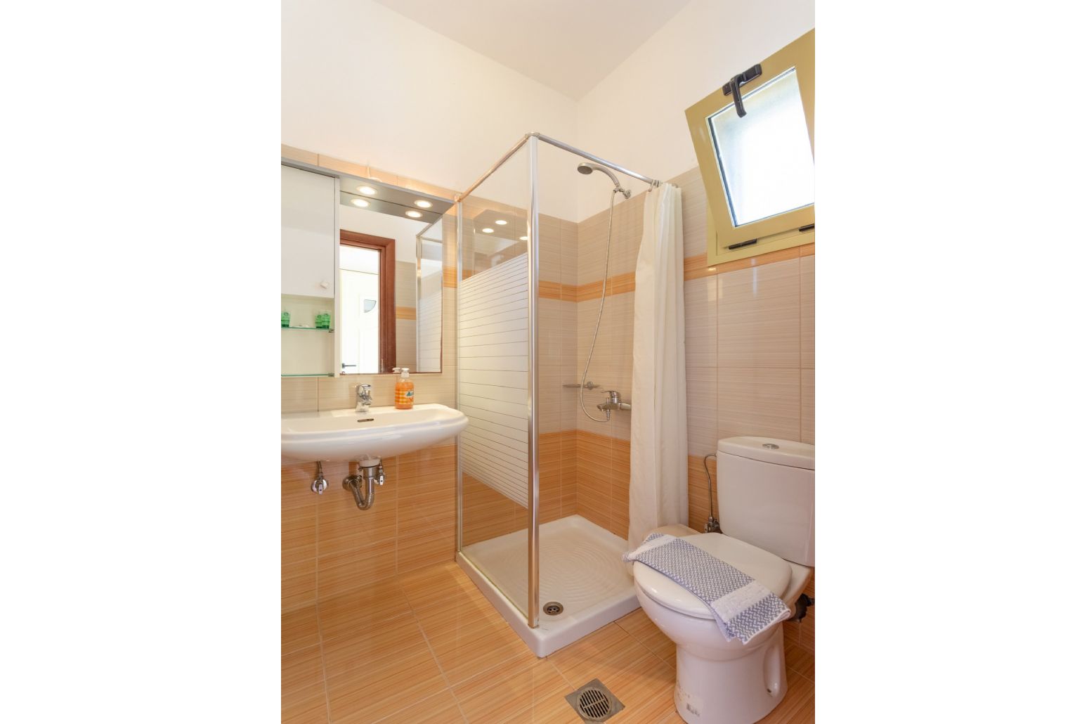 Family bathroom with overhead shower