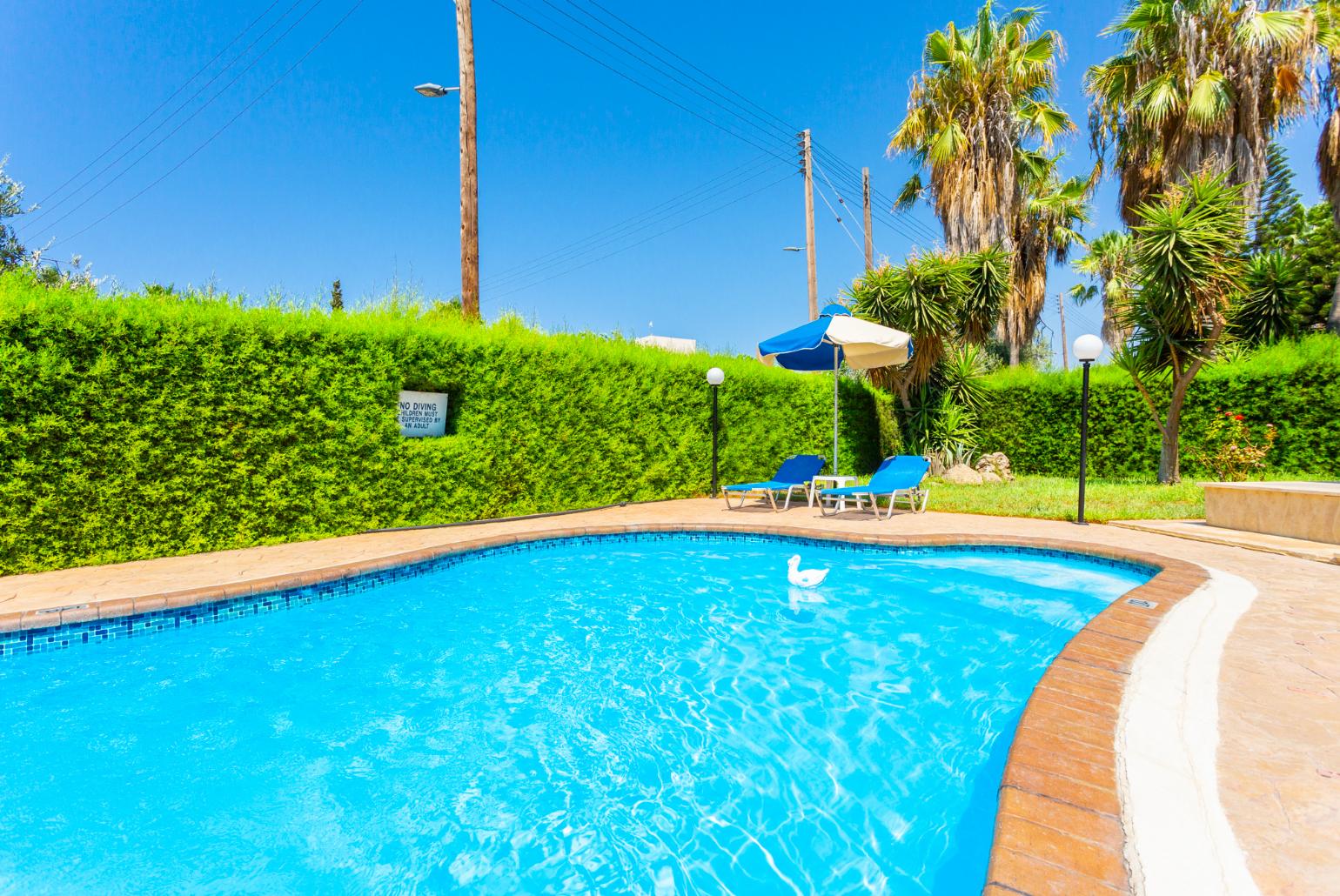 Private pool, terrace, and garden