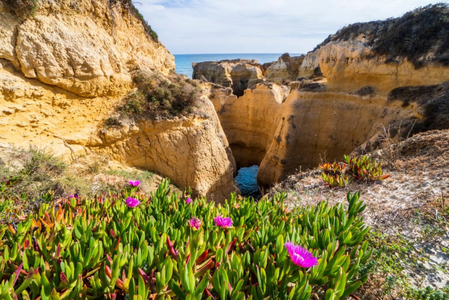 The stunning coast of Albufeira