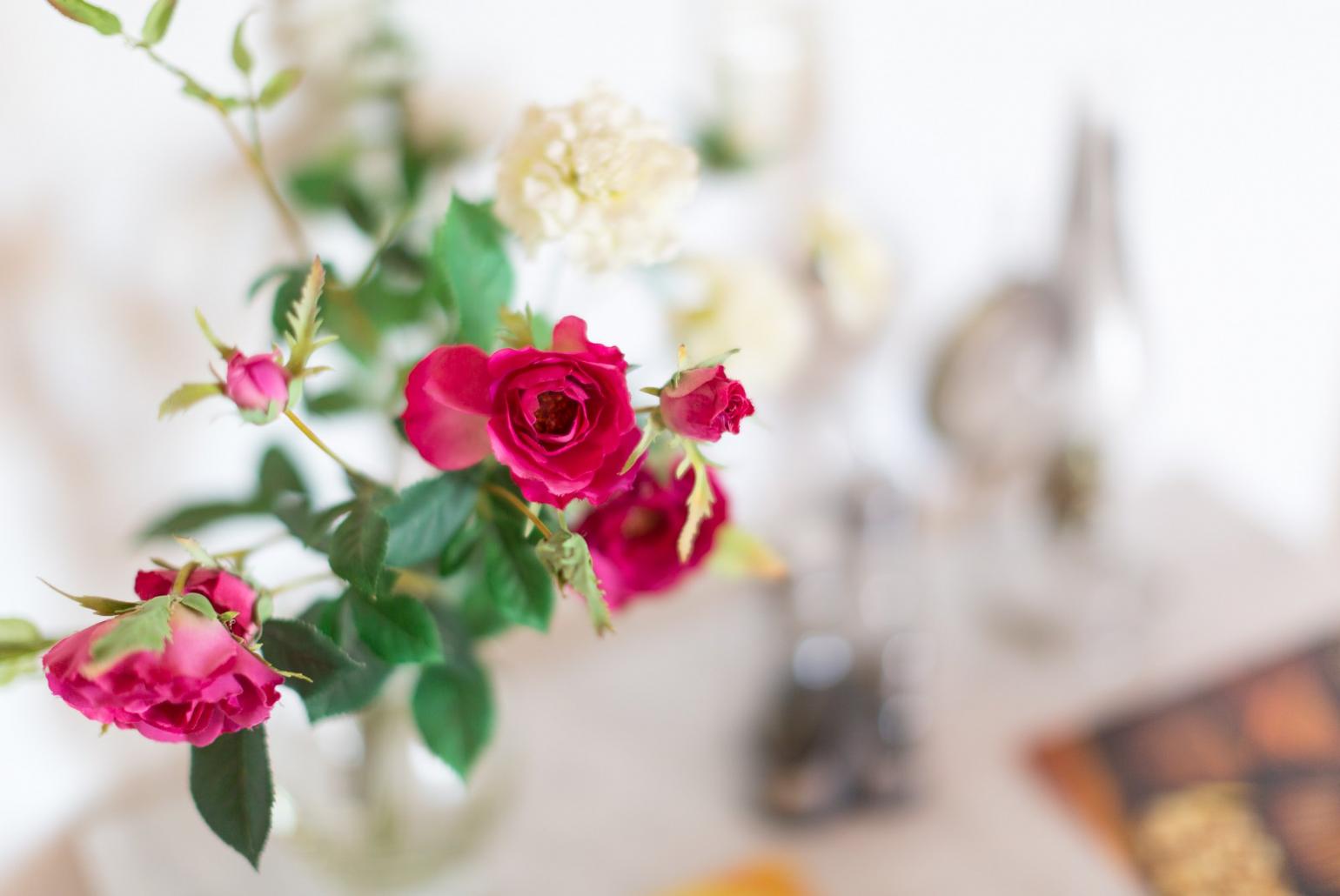 Indoor flowers 