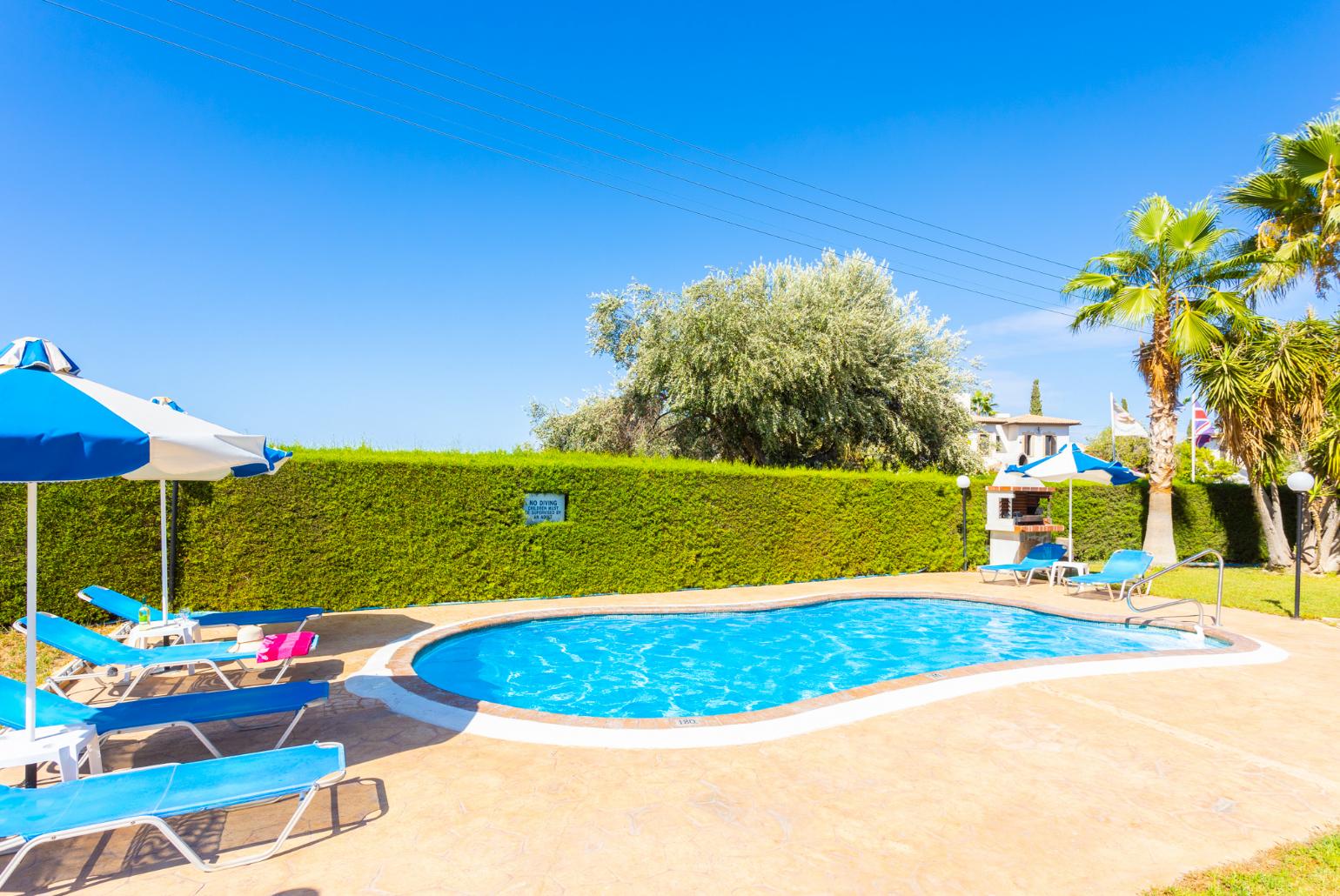 Private pool, terrace, and garden