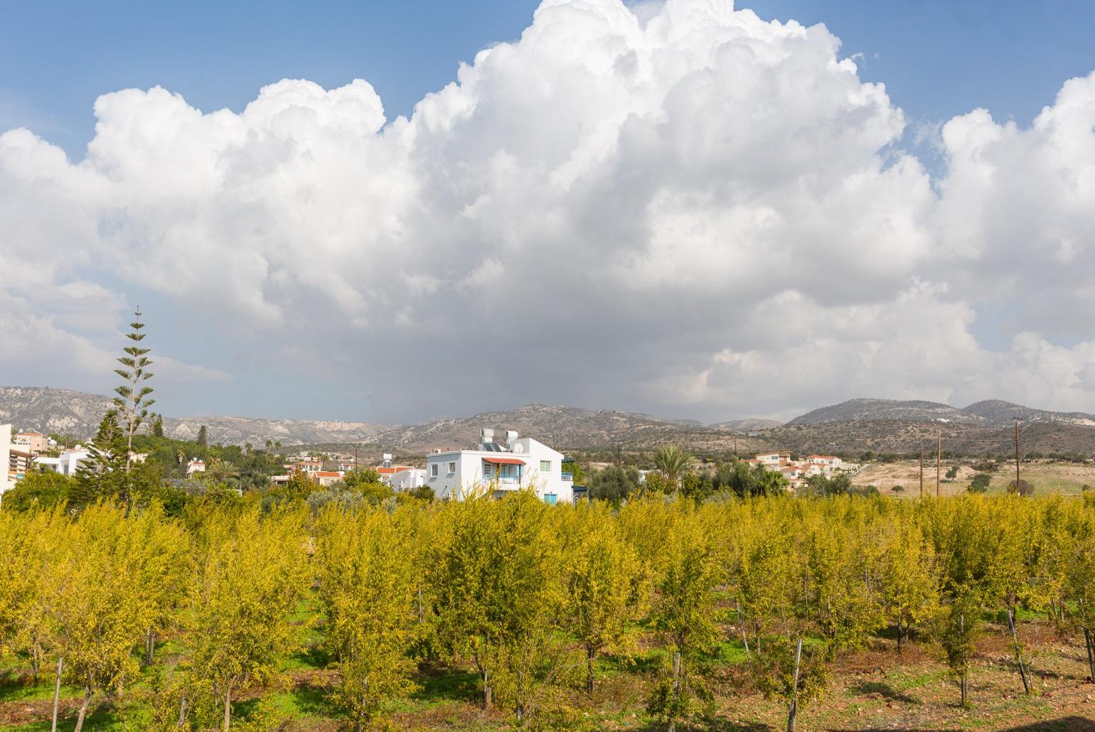 Local area